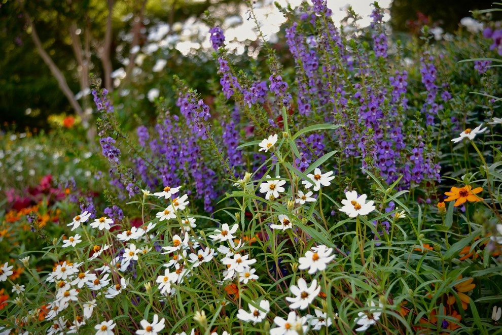 Tricia Quaid Landscape Design, Inc - Photo 4