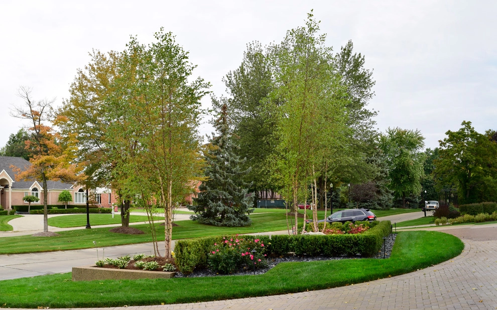 Clinton Township, MI - Front Yard Design & Build by Troy Clogg Landscape Associates - Photo 4
