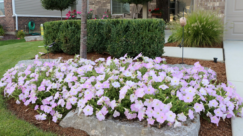 New Hudson, MI - Front Yard Design & Build by Troy Clogg Landscape Associates - Photo 2