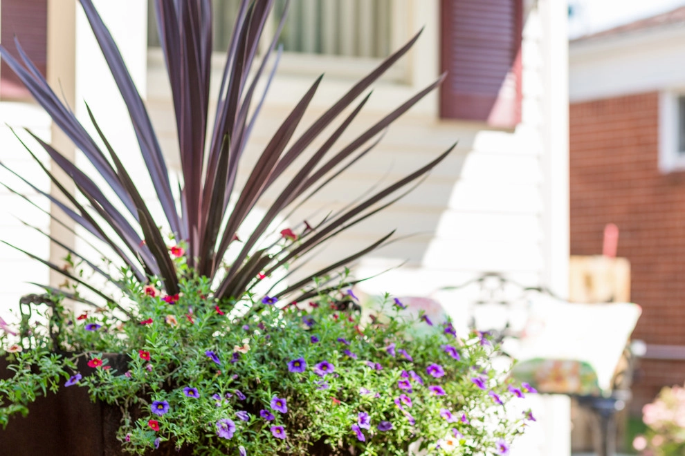 Royal Oak, MI - Front Yard Landscape Design & Install by Troy Clogg Landscape Associates - Photo 5