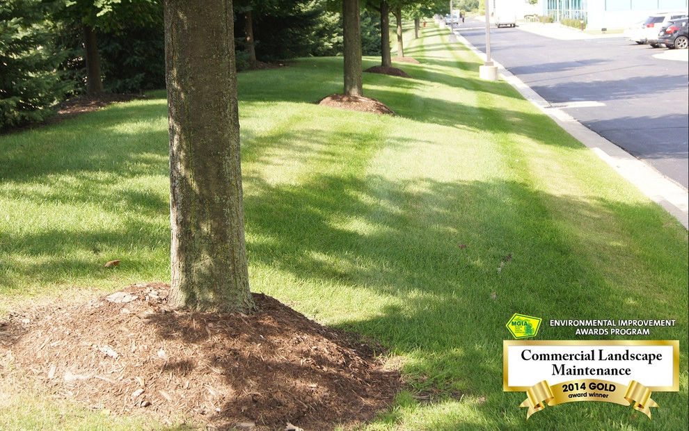 Wixom, MI - Commercial Maintenance by Troy Clogg Landscape Associates - Photo 5