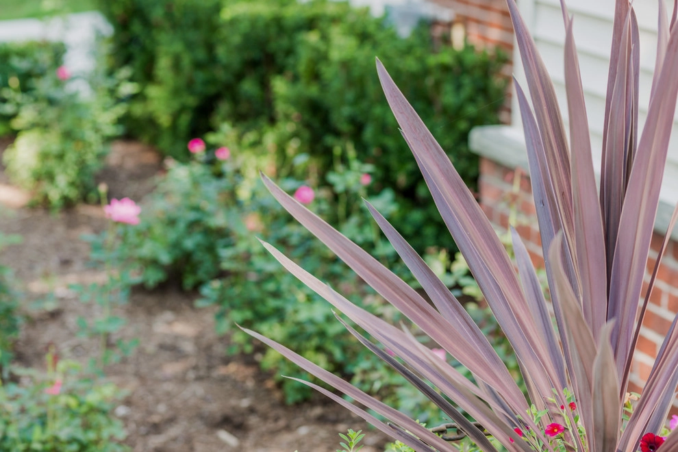 Royal Oak, MI - Front Yard Landscape Design & Install by Troy Clogg Landscape Associates - Photo 11