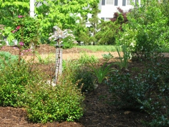 Landscape Design by Bella Terra Landscapes, LLC - Photo 12
