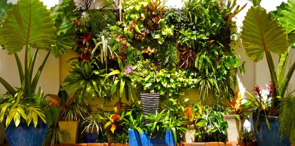 Tru Vine Design - Photo 6