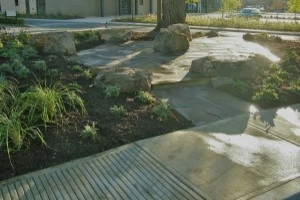 Hardscapes by True North Landscaping - Photo 6