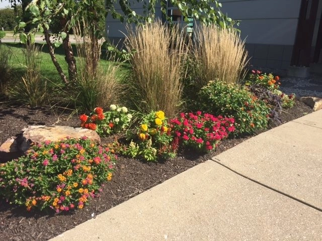 True North Landscaping - Photo 6