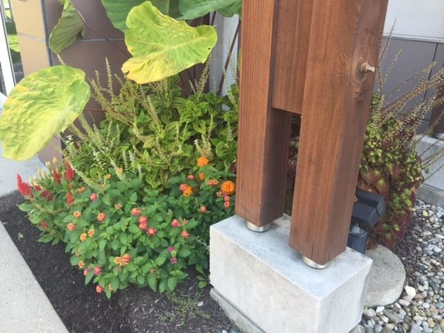 Indianapolis Featured Project by True North Landscaping - Photo 2