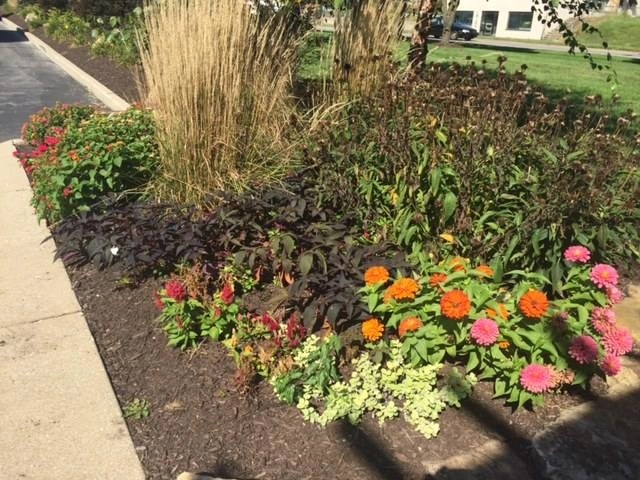 Indianapolis Featured Project by True North Landscaping - Photo 3