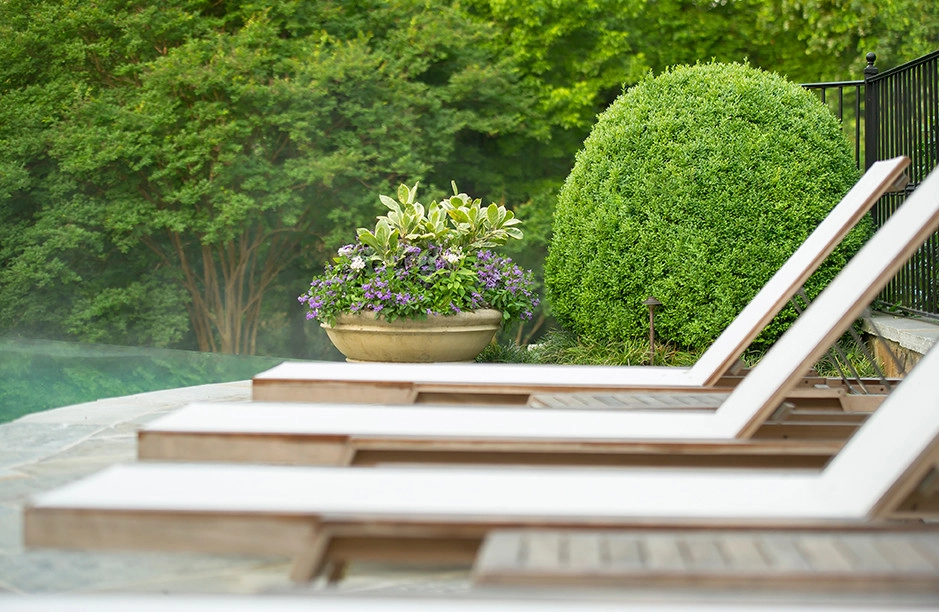 Bellwether Landscape Architects - Photo 7