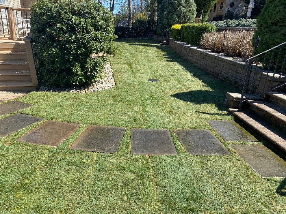 Backyard Grading - (Before & After) by Truesdale Nursery & Landscape Services - Photo 5