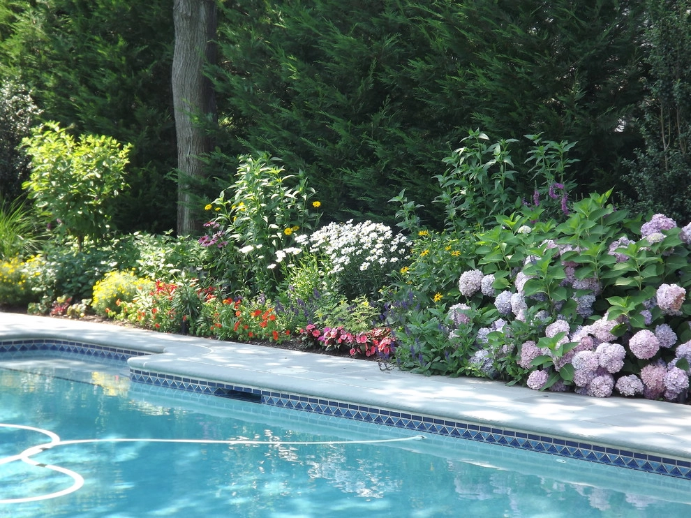 Perennial Garden for Pool in Westfield, NJ by Truesdale Nursery & Landscape Services - Photo 3