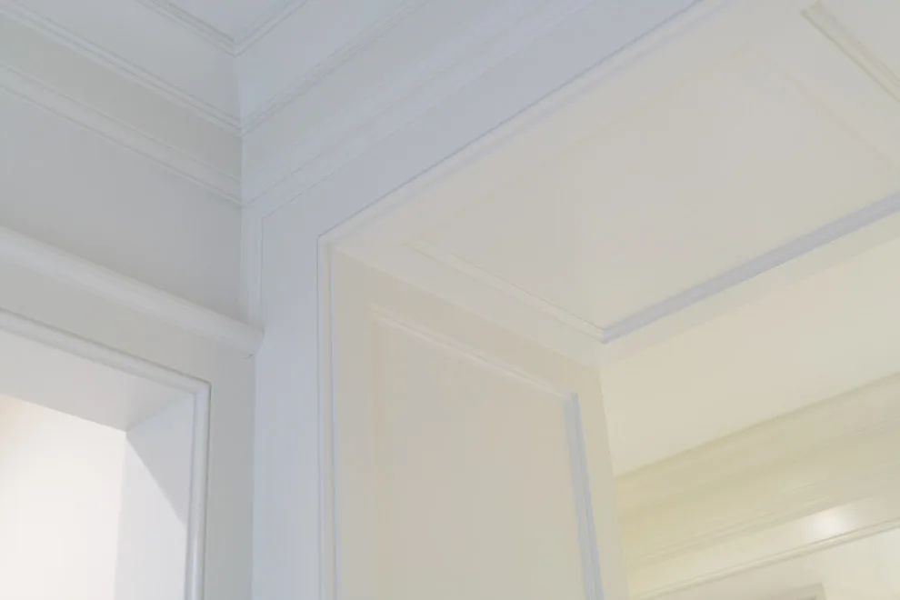 Opulent Renovation and Expansion by Crawford Builders - Photo 32