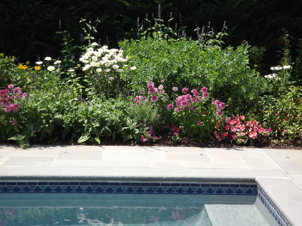 Perennial Garden for Pool in Westfield, NJ by Truesdale Nursery & Landscape Services - Photo 2