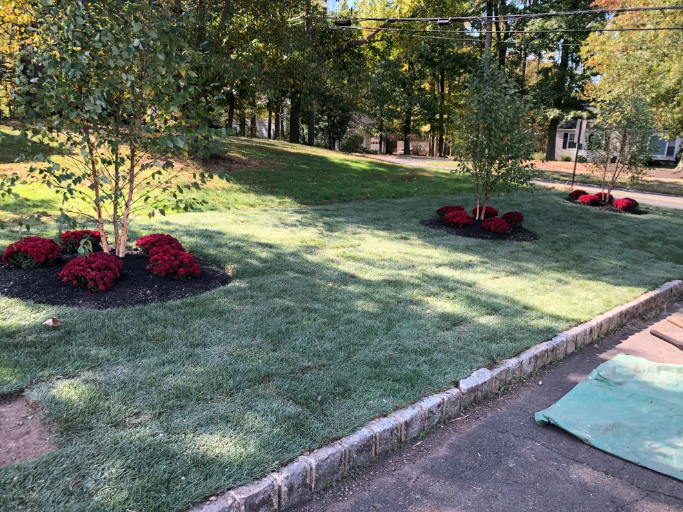 Side Yard grading project - (Before & After) by Truesdale Nursery & Landscape Services - Photo 2