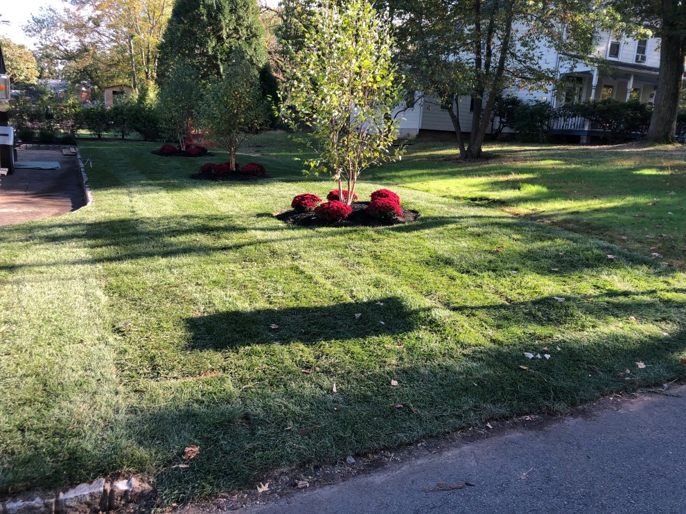 Side Yard grading project - (Before & After) by Truesdale Nursery & Landscape Services - Photo 5