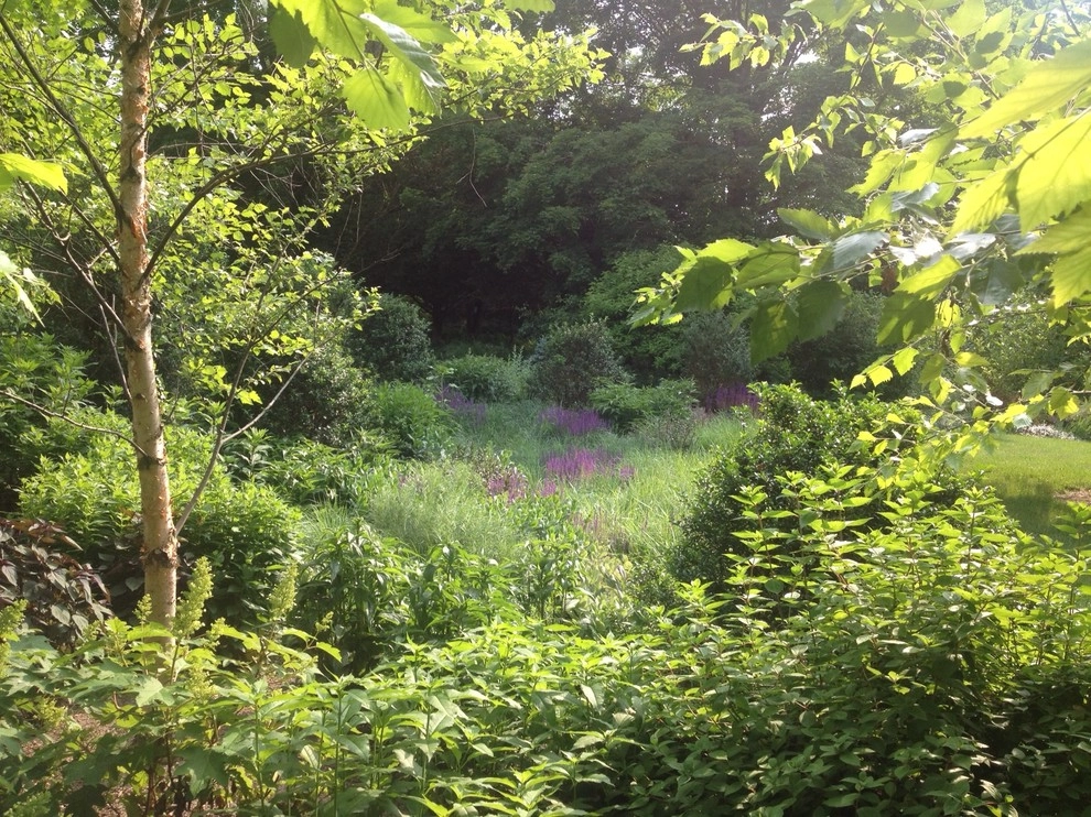 Meadow Garden by Ben Young Landscape Design - Photo 3