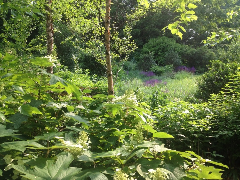 Meadow Garden by Ben Young Landscape Design - Photo 2