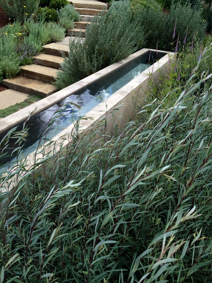 Water Garden by Ben Young Landscape Design - Photo 5