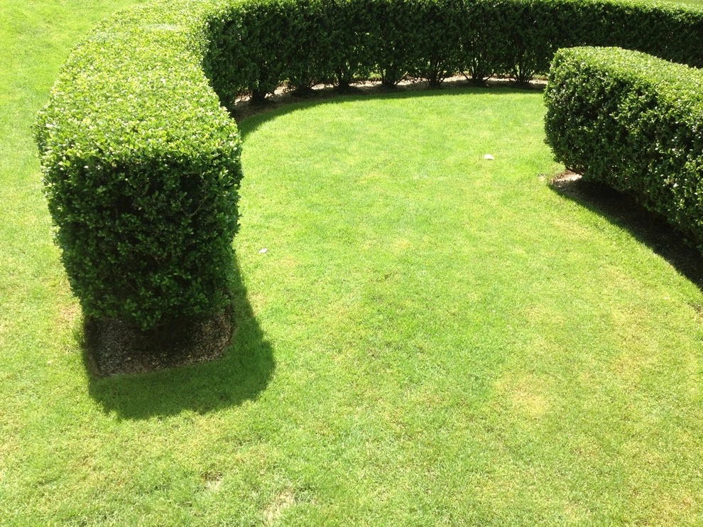 A Sculptural Garden by Ben Young Landscape Design - Photo 2
