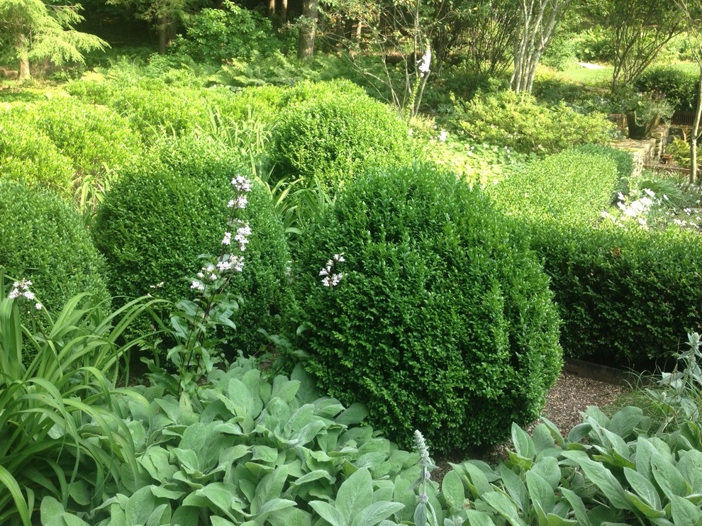 Meadow Garden by Ben Young Landscape Design - Photo 4