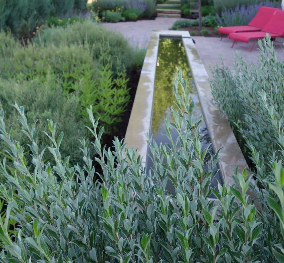 Water Garden by Ben Young Landscape Design - Photo 4