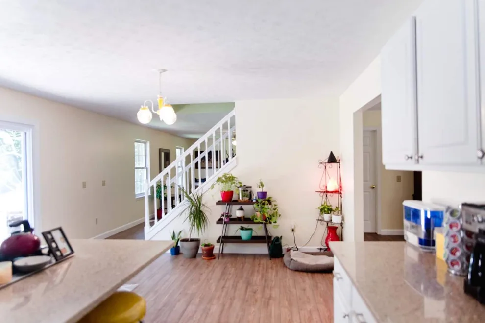 Apex Home Services, LLC - Photo 12