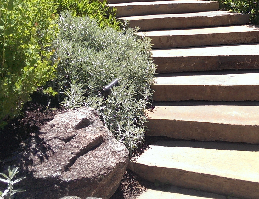 High Desert Retreat by Ben Young Landscape Design - Photo 3