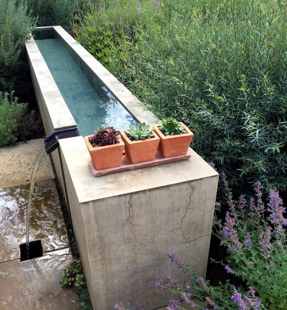 Water Garden by Ben Young Landscape Design - Photo 2
