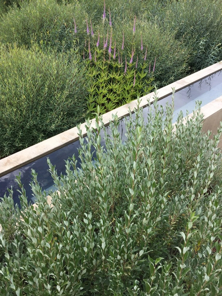 Water Garden by Ben Young Landscape Design - Photo 3