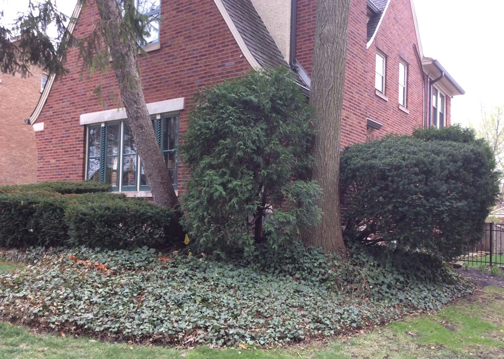 A "Loose Formal" Landscape by Twig Landscape Design, LLC - Photo 7