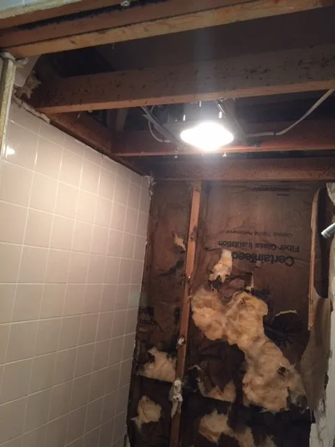 Master Bathroom Revamp by Redoux, LLC. - Photo 77