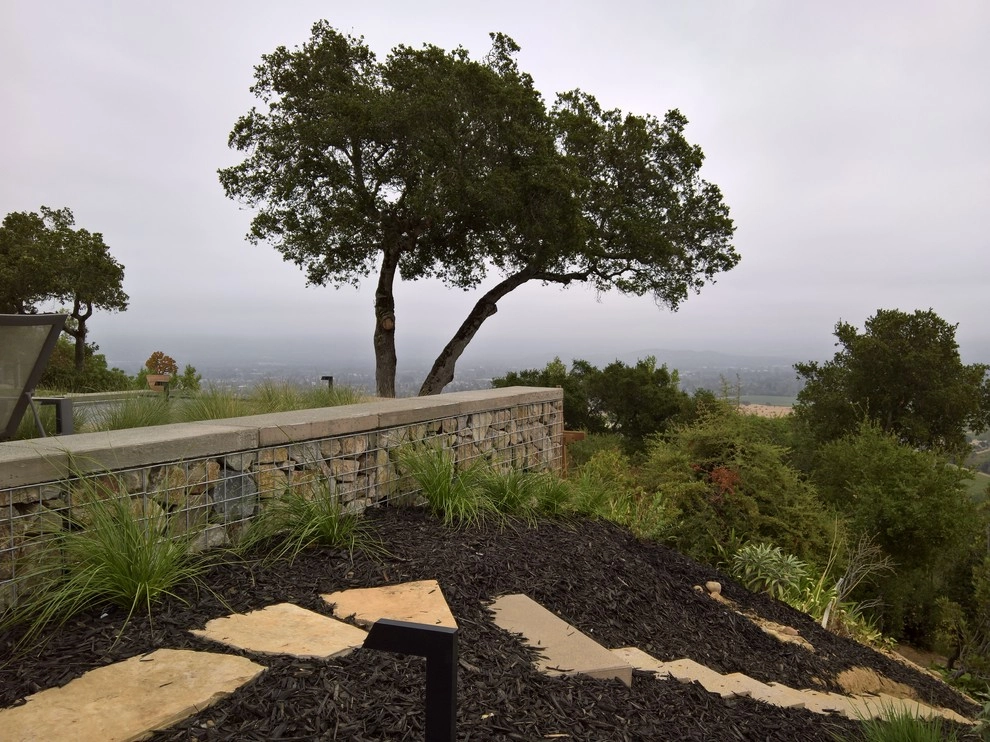 Above the Valley by Uncommon Gardens - Photo 12