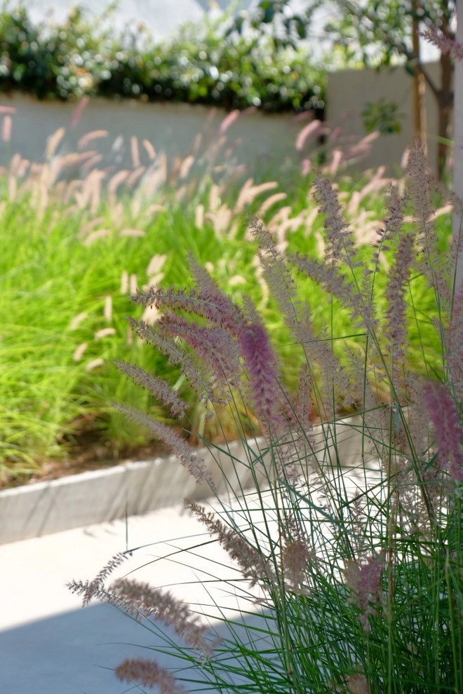 Plantings by Uncommon Gardens - Photo 10