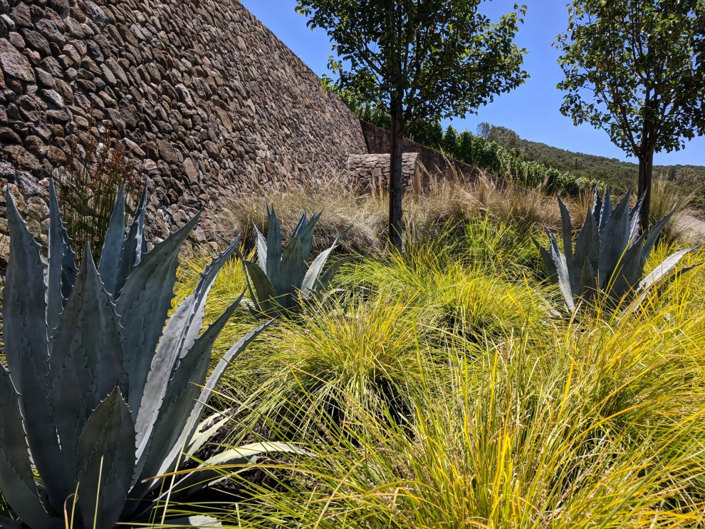Plantings by Uncommon Gardens - Photo 7