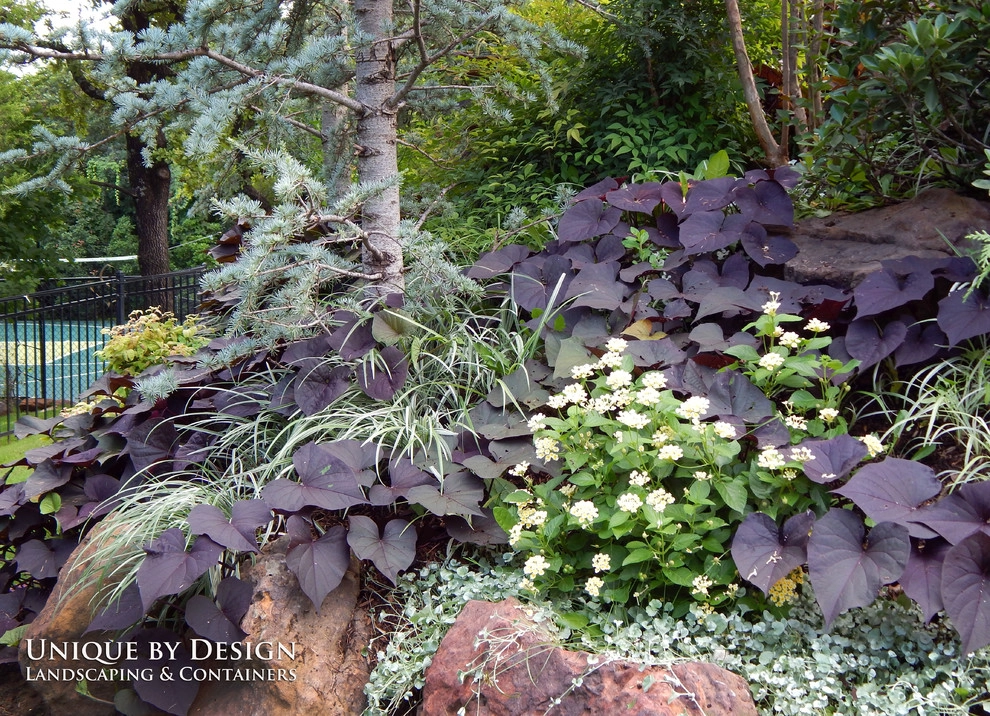 Landscape Design - Unique by Design l Helen Weis by Unique By Design - Photo 77