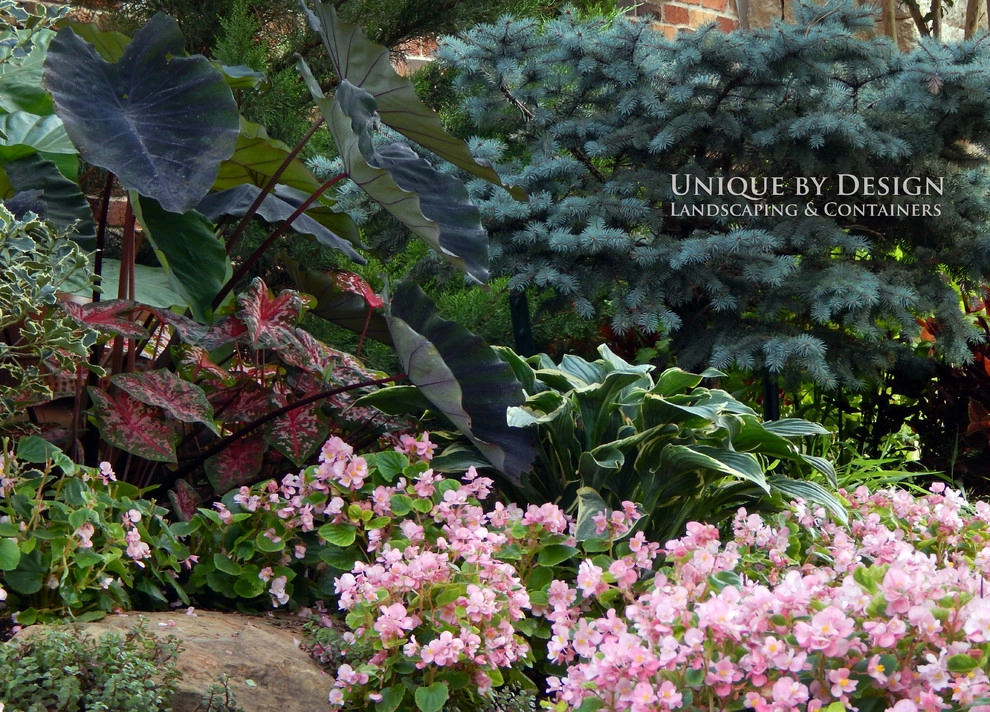 Landscape Design - Unique by Design l Helen Weis by Unique By Design - Photo 68