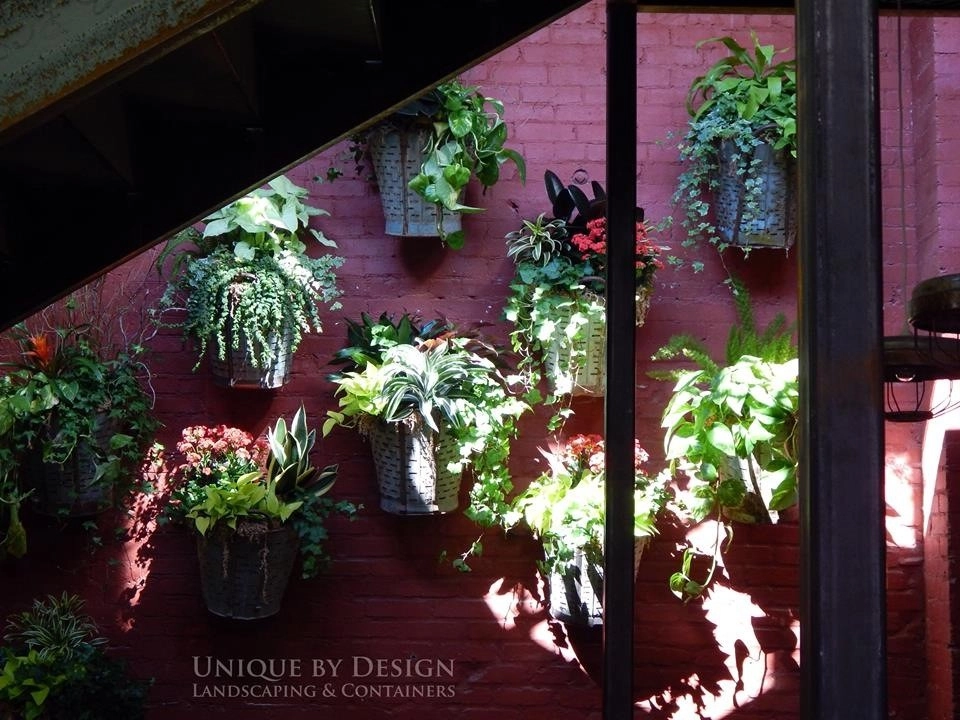 Container Garden Design - Unique by Design l Helen Weis by Unique By Design - Photo 89