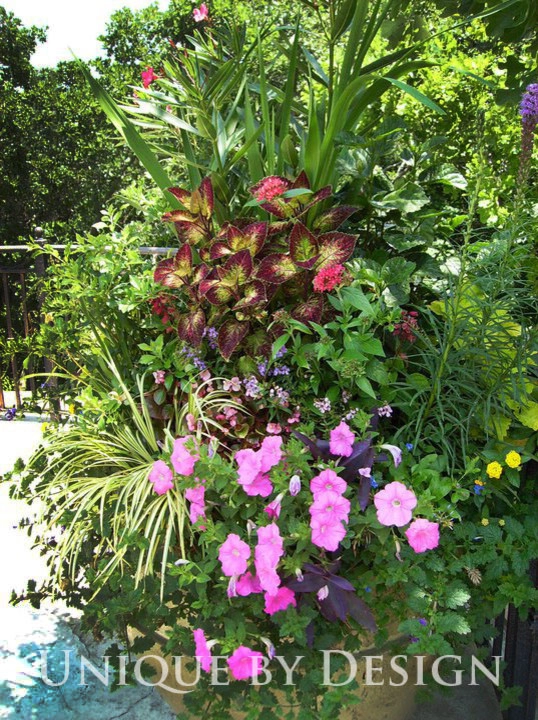 Container Garden Design - Unique by Design l Helen Weis by Unique By Design - Photo 66