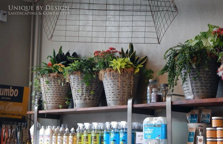 Container Garden Design - Unique by Design l Helen Weis by Unique By Design - Photo 52