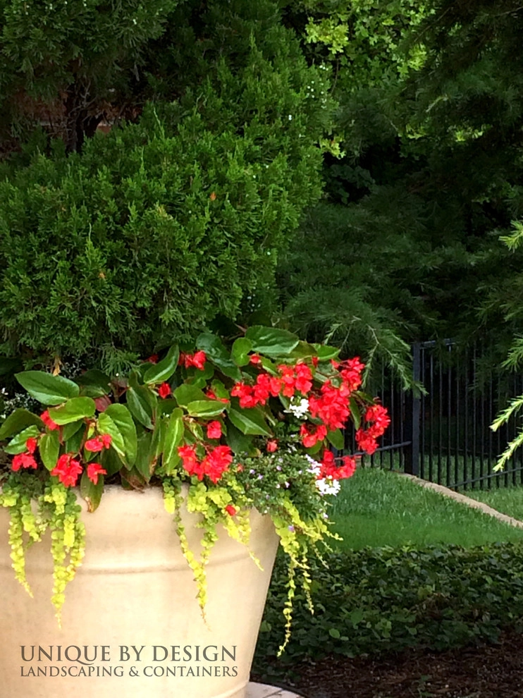 Container Garden Design - Unique by Design l Helen Weis by Unique By Design - Photo 20