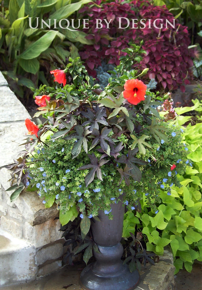 Container Garden Design - Unique by Design l Helen Weis by Unique By Design - Photo 26