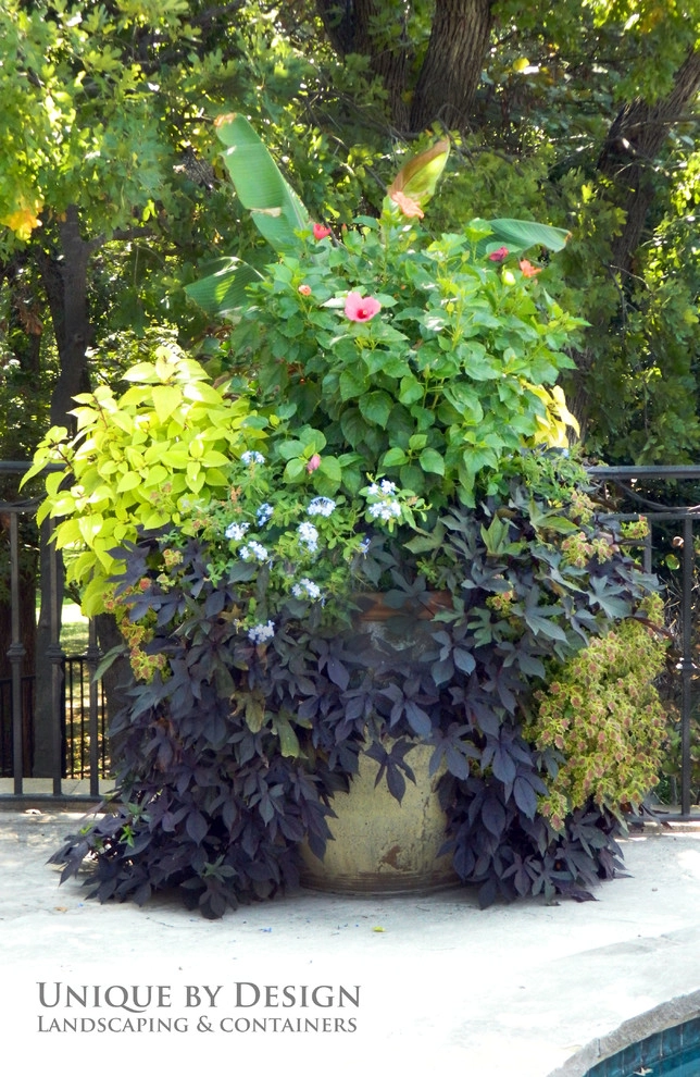 Container Garden Design - Unique by Design l Helen Weis by Unique By Design - Photo 68