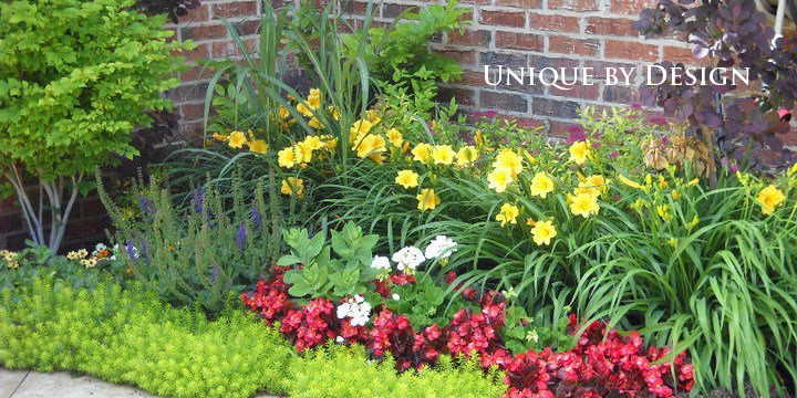 Landscape Design - Unique by Design l Helen Weis by Unique By Design - Photo 23