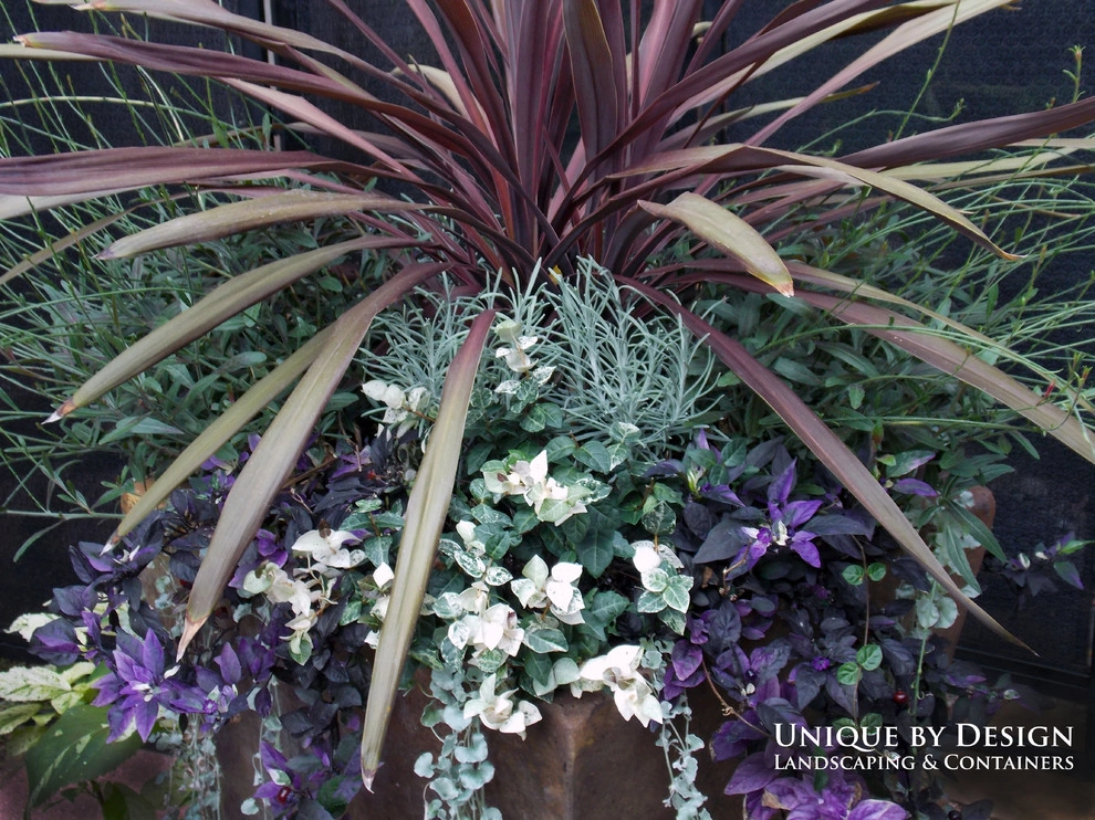 Unique By Design - Photo 3