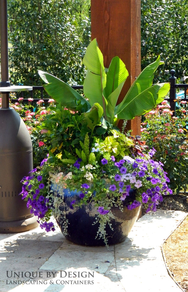 Container Garden Design - Unique by Design l Helen Weis by Unique By Design - Photo 81