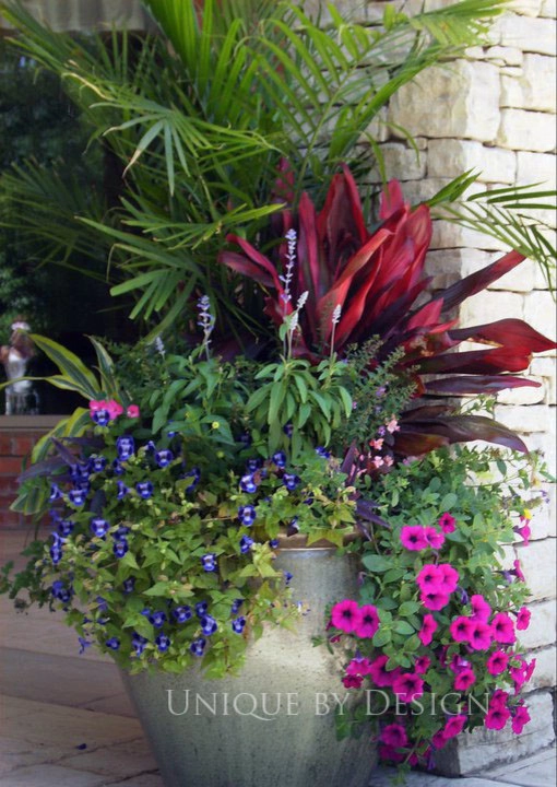 Container Garden Design - Unique by Design l Helen Weis by Unique By Design - Photo 21