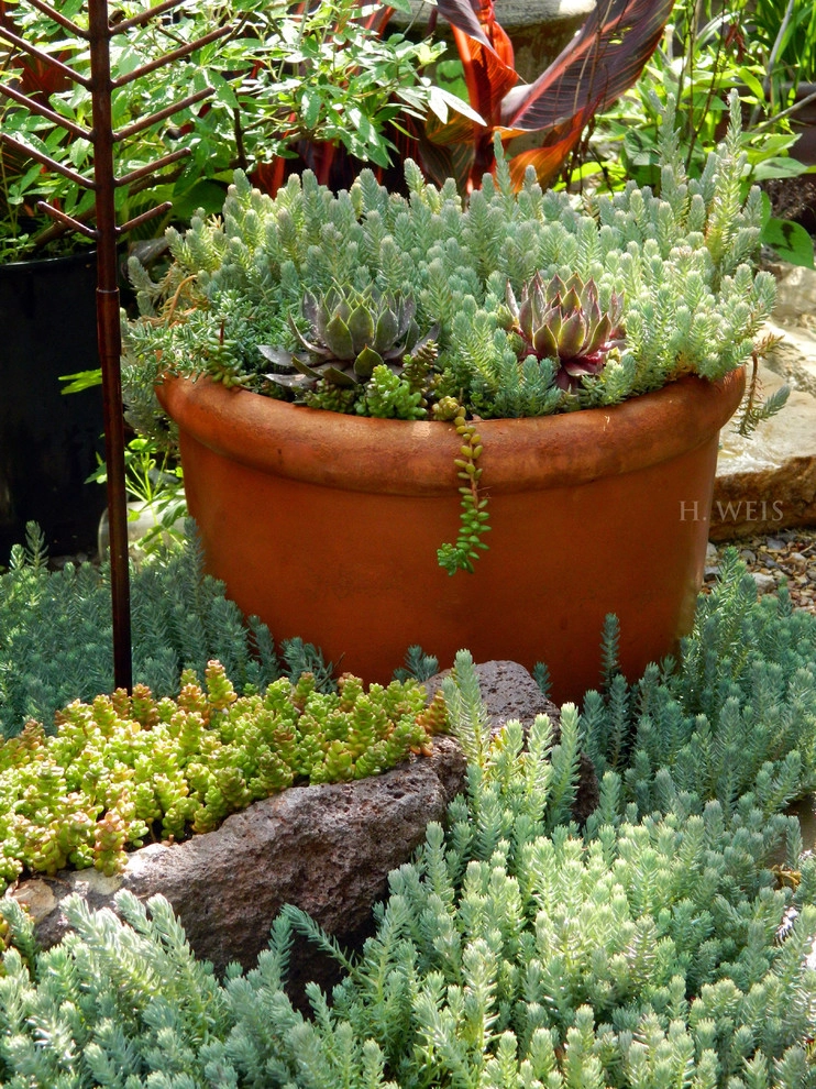 Container Garden Design - Unique by Design l Helen Weis by Unique By Design - Photo 56