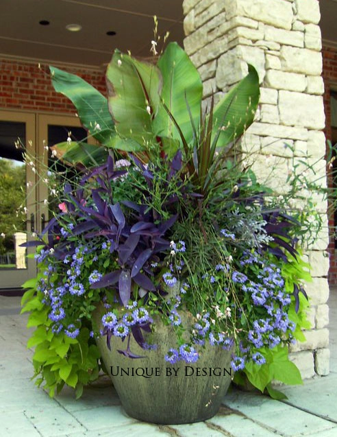Container Garden Design - Unique by Design l Helen Weis by Unique By Design - Photo 79