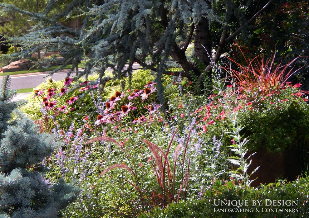 Landscape Design - Unique by Design l Helen Weis by Unique By Design - Photo 11