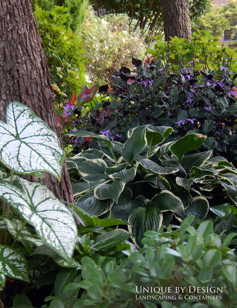 Landscape Design - Unique by Design l Helen Weis by Unique By Design - Photo 63
